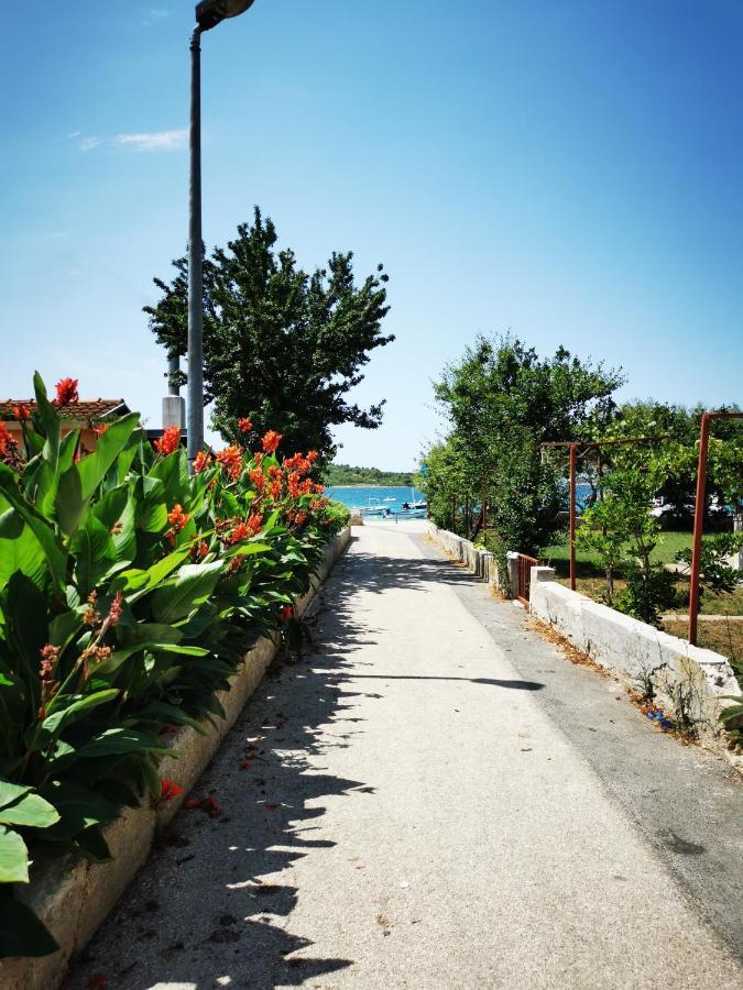 Bella Dalmatia Leilighet Srima Eksteriør bilde